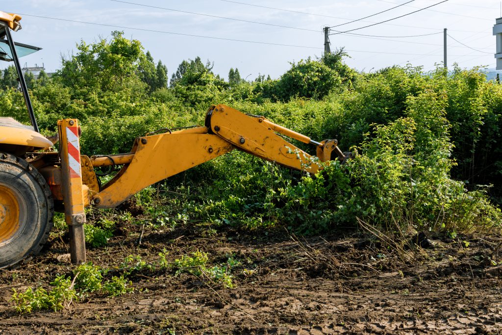 Clearing the Path for Progress: Professional Land Clearing Services